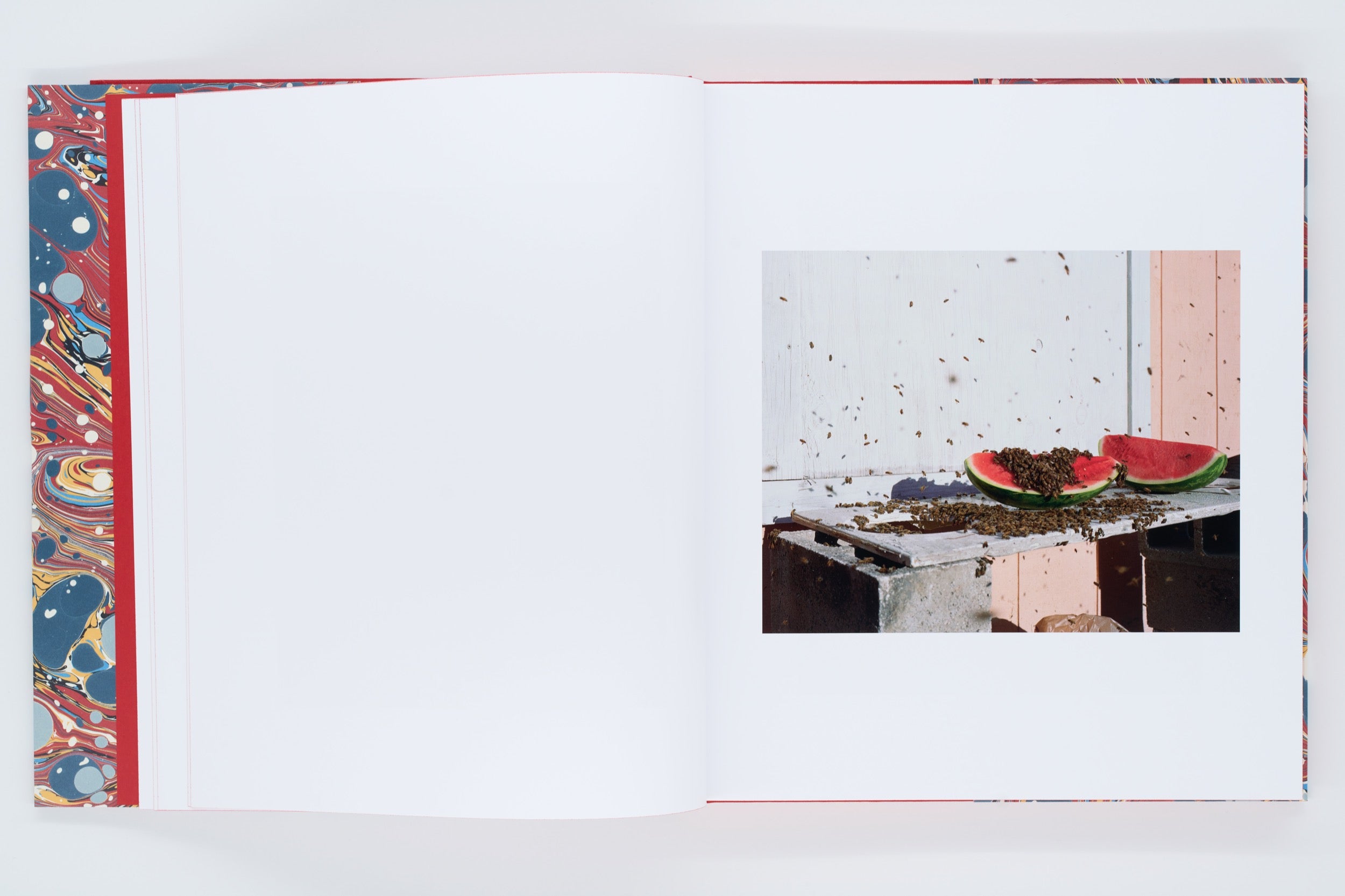 River’s Dream / Curran Hatleberg River's Dream First Printing, Curran Hatleberg, 2022 – ARCHIVISM